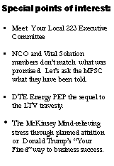 Text Box: Special points of interest:Meet  Your Local 223 Executive CommitteeNCO and Vital Solution numbers don�t match  what was promised.  Let�s ask the MPSC what they have been told.DTE Energy PEP the sequel to the LTV travesty.The McKinsey Mind-relieving stress through planned attrition  or  Donald Trump�s �Your Fired� way to business success.